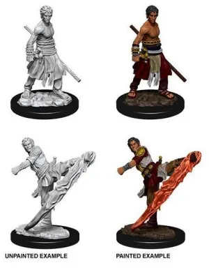 D&D NOLZUR'S MARVELOUS MINIATURES MINIATURAS SIN PINTAR MALE HALF-ELF MON