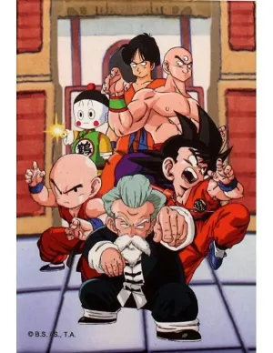 IMÁN TORNEO DRAGON BALL