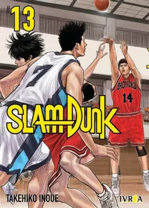 SLAM DUNK NEW EDITION 13