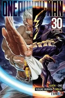 ONE PUNCH-MAN 30