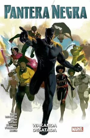 PANTERA NEGRA 04: WAKANDA DESATADA