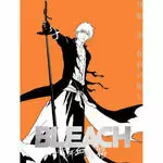 BLEACH MAXIMUM 23