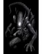 ALIEN 01: LINAJES