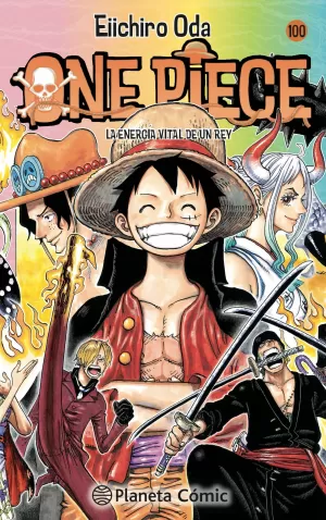 ONE PIECE 100