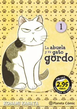 LA ABUELA Y SU GATO GORDO 01