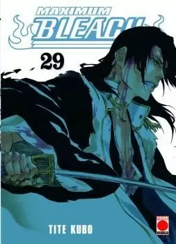 BLEACH MAXIMUM 29