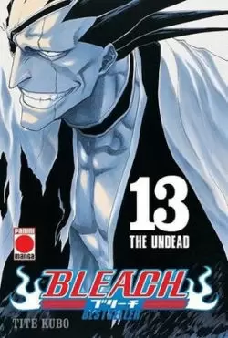 BLEACH BESTSELLER 13