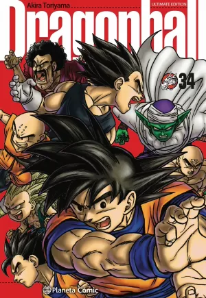 DRAGON BALL 34