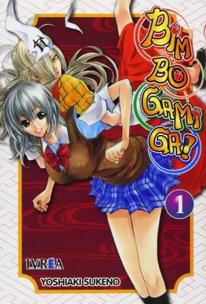 BIM BO GAMI GA 01