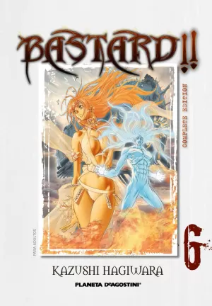 BASTARD! COMPLETE EDITION 06 BASTARD! COMPLETE EDITION 06