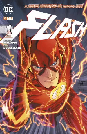 FLASH 01 (2012)