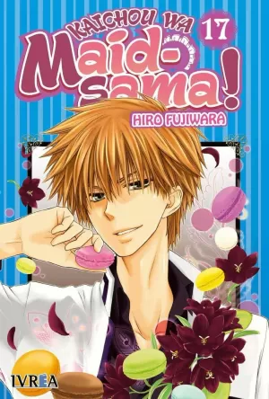 KAICHOU WA MAID-SAMA! 17