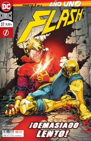 FLASH 51 (MENSUAL)