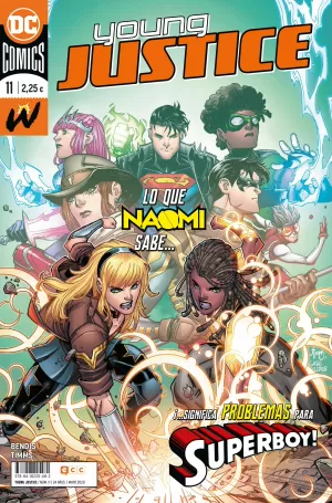 YOUNG JUSTICE 11 (MENSUAL)