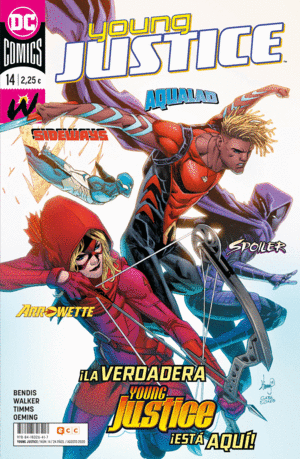 YOUNG JUSTICE 14 (MENSUAL)