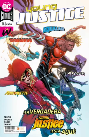 YOUNG JUSTICE 14 (MENSUAL)