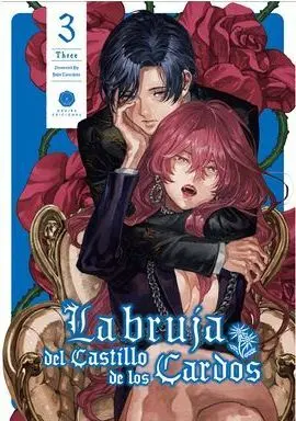 LA BRUJA DEL CASTILLO DE LOS CARDOS 03