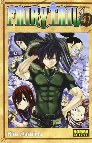 FAIRY TAIL 41 FAIRY TAIL 41
