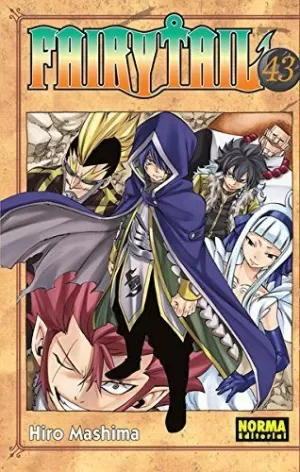 FAIRY TAIL 43 FAIRY TAIL 43