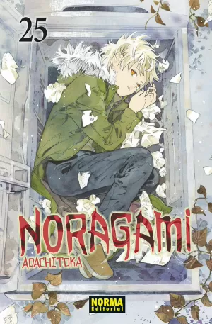 NORAGAMI 25