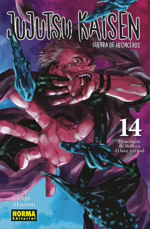 JUJUTSU KAISEN 14