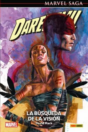 DAREDEVIL 09: LA BUSQUEDA DE LA VISIÓN