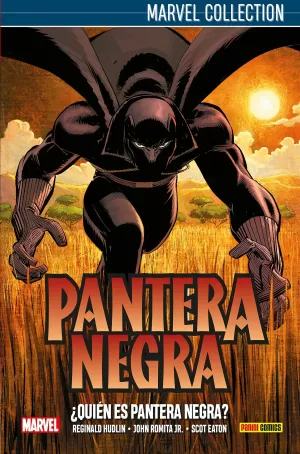 PANTERA NEGRA DE HUDLIN 01: ¿QUIÉN ES PANTERA NEGRA?