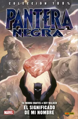 PANTERA NEGRA 02: EL SIGNIFICADO DE MI NOMBRE