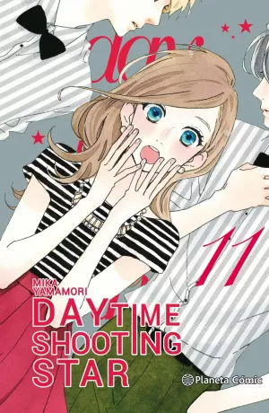 DAYTIME SHOOTING STAR 11