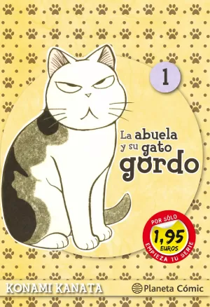 LA ABUELA Y SU GATO GORDO 01