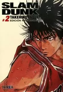 SLAM DUNK KANZENBAN 02