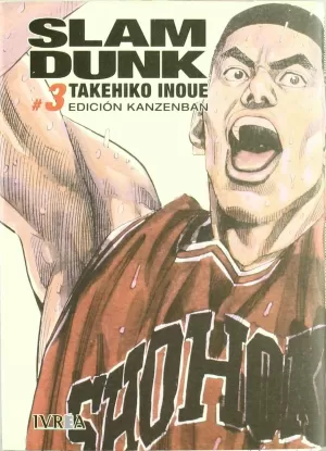 SLAM DUNK KANZENBAN 03