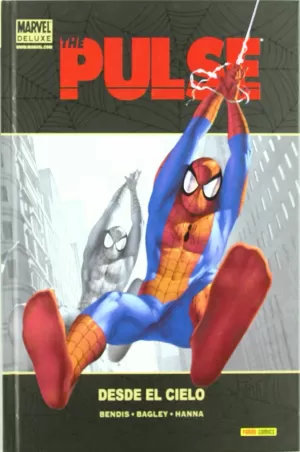 THE PULSE 01. DESDE EL CIELO