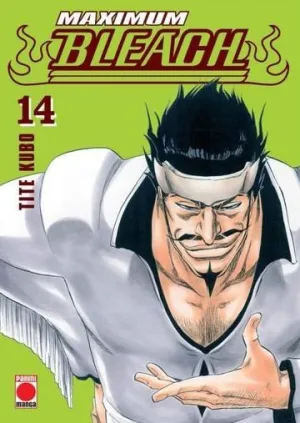 BLEACH MAXIMUM 14