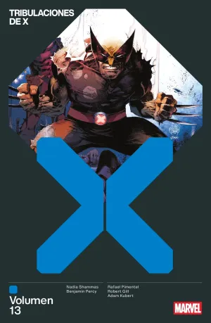 TRIBULACIONES DE X 13 TRIBULACIONES DE X 13