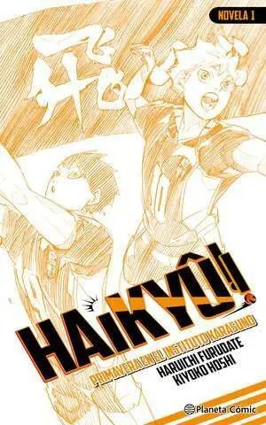 HAIKYÛ!! LA NOVELA 01