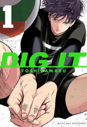 DIG IT 01