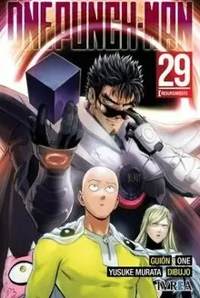 ONE PUNCH-MAN 29